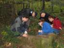 Studenci UJ badają macewy w lesie na Wisowej