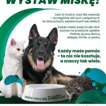 Mały gest, wielka moc - kampania na rzecz zwierząt podczas upałów.