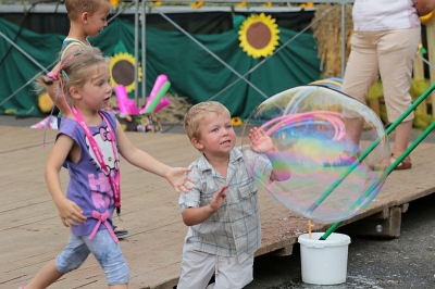 Dożynki Gminne Jodłowa 2016_47
