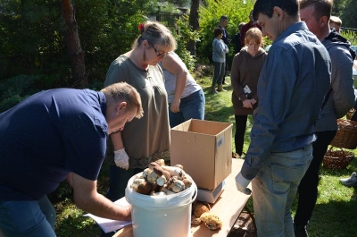 IX Grzybobranie - Wisowa 2019_4