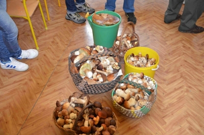 III Wielkie Grzybobranie 