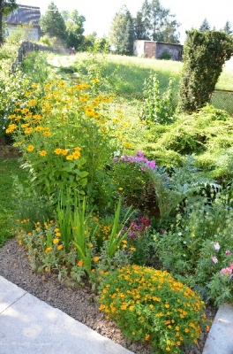 I miejsce w Konkursie