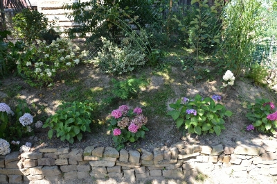 II miejsce w Konkursie