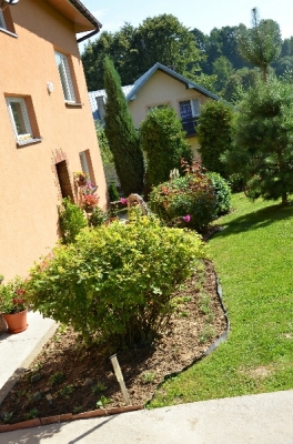 Wyróżniony ogród Pani Marii Studniarz