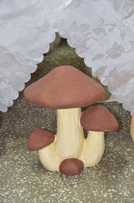 festiwal potraw z grzybów 2018_2